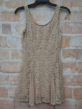Lily Rose Beige Floral Lace A-Line Dress
